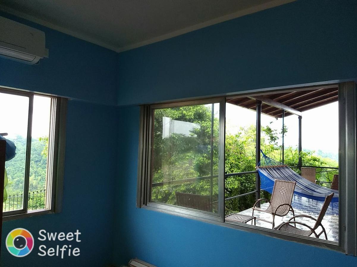 Butterfly Hostel 푸에르토이과수 외부 사진