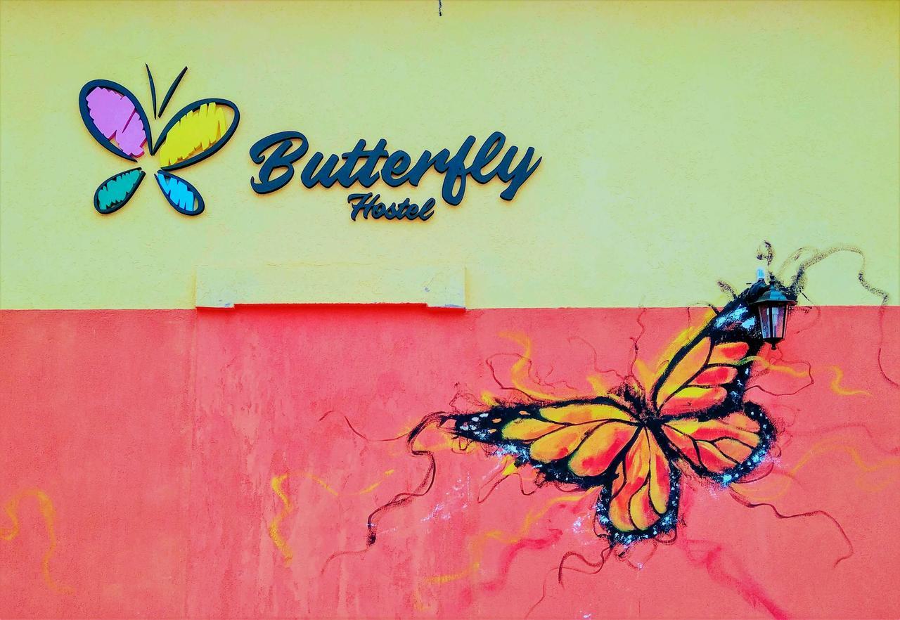 Butterfly Hostel 푸에르토이과수 외부 사진
