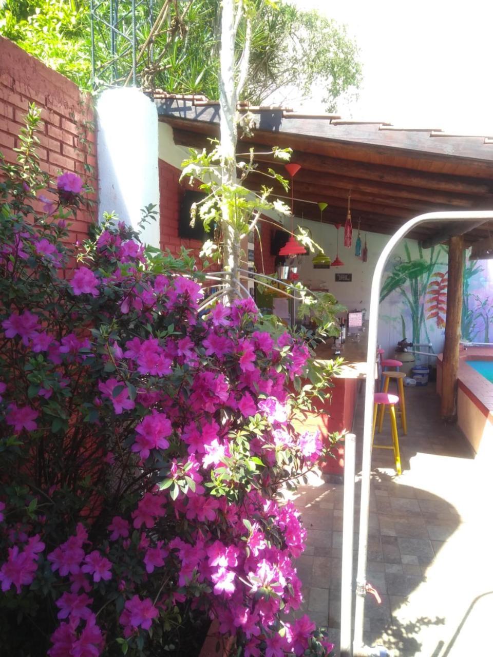 Butterfly Hostel 푸에르토이과수 외부 사진