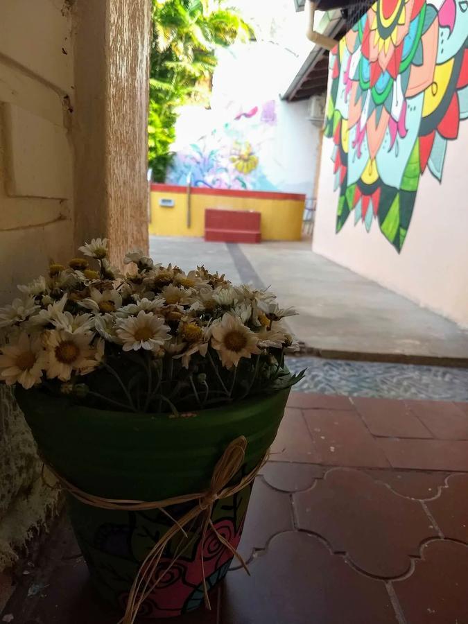 Butterfly Hostel 푸에르토이과수 외부 사진